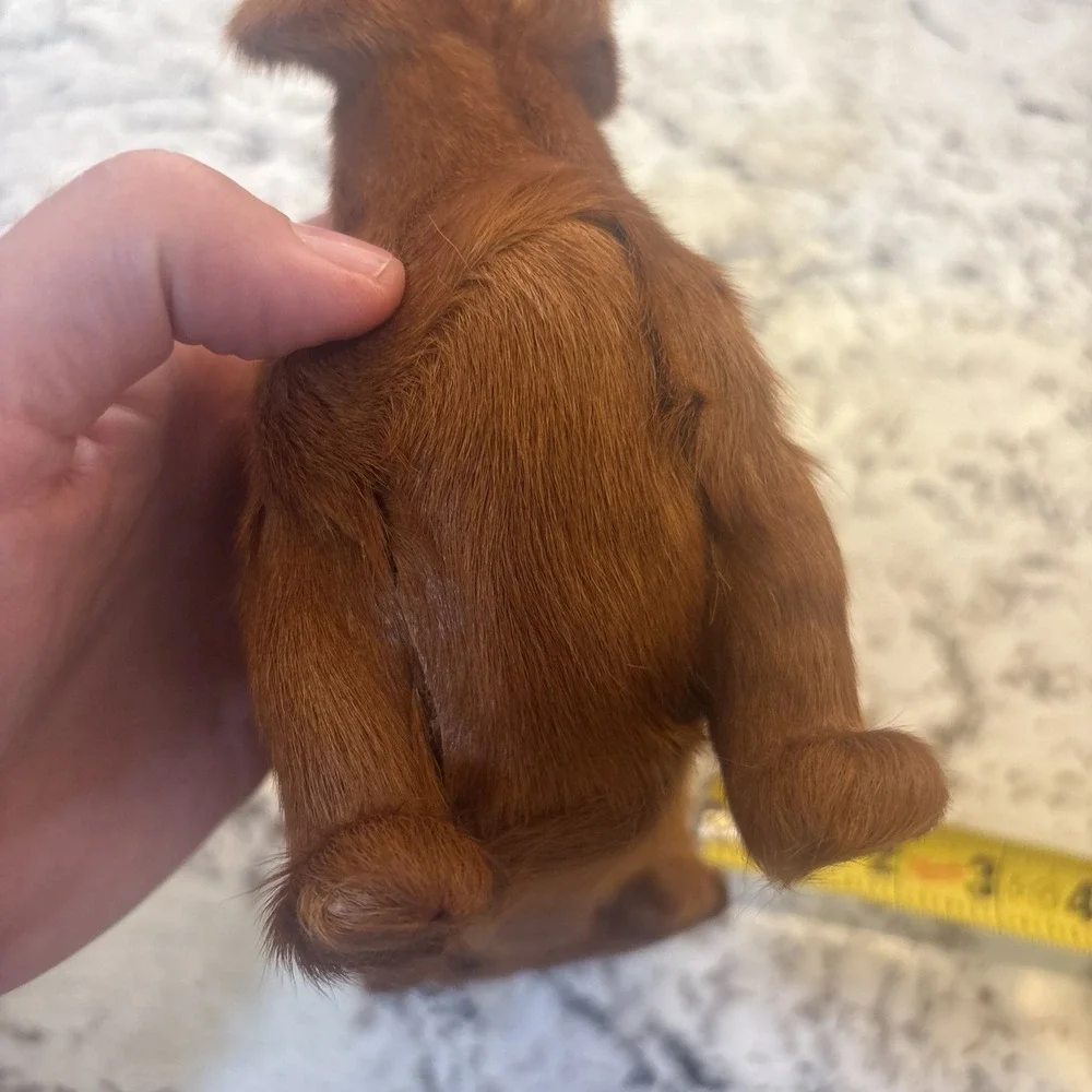 Vintage Real Fur Dog Miniature DACHSHUND Life like Soft Red‎ collectible